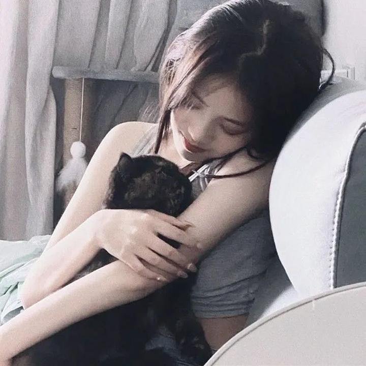 赌王至尊 在线观看封面