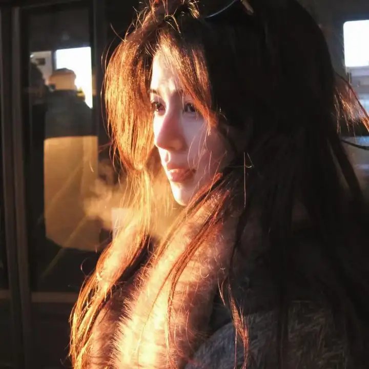 英雄虎胆2006 在线观看封面